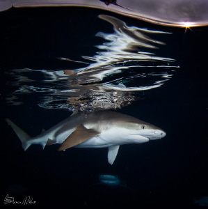 Precision Glass. Last light for sunset splits by Steven Miller 
